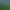Jungles of Maxtheria.