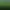 Jungles of Maxtheria.