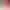 https://shared.akamai.steamstatic.com/store_item_assets/steam/apps/1388860/header.jpg?t=1741103862