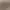 https://shared.akamai.steamstatic.com/store_item_assets/steam/apps/1389360/header.jpg?t=1746549501