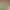https://shared.akamai.steamstatic.com/store_item_assets/steam/apps/1391600/header.jpg?t=1740392826