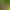 https://shared.akamai.steamstatic.com/store_item_assets/steam/apps/1399990/header.jpg?t=1607442312