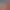 https://shared.akamai.steamstatic.com/store_item_assets/steam/apps/1407950/header.jpg?t=1625561805