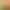 https://shared.akamai.steamstatic.com/store_item_assets/steam/apps/1414240/header.jpg?t=1658991189
