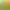 https://shared.akamai.steamstatic.com/store_item_assets/steam/apps/1429480/header.jpg?t=1728602081