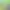 https://shared.akamai.steamstatic.com/store_item_assets/steam/apps/1431040/header.jpg?t=1745977635