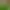 https://shared.akamai.steamstatic.com/store_item_assets/steam/apps/1432310/header.jpg?t=1628774215