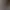 Poop On 2020 Simulator.