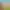 https://shared.akamai.steamstatic.com/store_item_assets/steam/apps/1433950/header.jpg?t=1603793798
