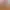 https://shared.akamai.steamstatic.com/store_item_assets/steam/apps/1435020/header.jpg?t=1709327148