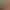 https://shared.akamai.steamstatic.com/store_item_assets/steam/apps/1436700/header.jpg?t=1725010303