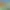 https://shared.akamai.steamstatic.com/store_item_assets/steam/apps/1440670/header.jpg?t=1732068251