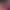 https://shared.akamai.steamstatic.com/store_item_assets/steam/apps/1443370/header.jpg?t=1750429323