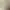 Amazing Cultivation Simulator - Deep in the bamboo Forest.