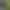 https://shared.akamai.steamstatic.com/store_item_assets/steam/apps/1448780/header.jpg?t=1726774210