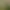 Desynced: Autonomous Colony Simulator.