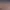 https://shared.akamai.steamstatic.com/store_item_assets/steam/apps/1460490/header.jpg?t=1730127602