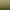 https://shared.akamai.steamstatic.com/store_item_assets/steam/apps/1462740/header.jpg?t=1606112587