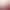 https://shared.akamai.steamstatic.com/store_item_assets/steam/apps/1479370/header.jpg?t=1725245650