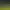 https://shared.akamai.steamstatic.com/store_item_assets/steam/apps/1480030/header.jpg?t=1733484147