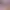 https://shared.akamai.steamstatic.com/store_item_assets/steam/apps/1489120/header.jpg?t=1727005310