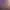 https://shared.akamai.steamstatic.com/store_item_assets/steam/apps/1490130/header.jpg?t=1742680452
