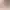 https://shared.akamai.steamstatic.com/store_item_assets/steam/apps/1490840/header.jpg?t=1727963913
