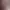 https://shared.akamai.steamstatic.com/store_item_assets/steam/apps/1491040/header.jpg?t=1726575127