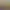 https://shared.akamai.steamstatic.com/store_item_assets/steam/apps/1494960/header.jpg?t=1740902287