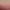 https://shared.akamai.steamstatic.com/store_item_assets/steam/apps/1497360/header.jpg?t=1729100173