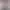 https://shared.akamai.steamstatic.com/store_item_assets/steam/apps/1498190/header.jpg?t=1719575277