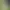 https://shared.akamai.steamstatic.com/store_item_assets/steam/apps/1502560/header_russian.jpg?t=1743167767