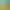 https://shared.akamai.steamstatic.com/store_item_assets/steam/apps/1509510/header.jpg?t=1749808498