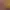 https://shared.akamai.steamstatic.com/store_item_assets/steam/apps/1515320/header.jpg?t=1741771093