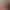 https://shared.akamai.steamstatic.com/store_item_assets/steam/apps/15190/header.jpg?t=1544534380