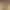 https://shared.akamai.steamstatic.com/store_item_assets/steam/apps/1519090/header.jpg?t=1726132462
