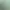 Duck Flight Simulator 2021.