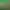 https://shared.akamai.steamstatic.com/store_item_assets/steam/apps/1522470/header.jpg?t=1730829186