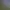 Isolationist Nightclub Simulator.