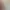 https://shared.akamai.steamstatic.com/store_item_assets/steam/apps/1527920/header.jpg?t=1711208543