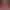 https://shared.akamai.steamstatic.com/store_item_assets/steam/apps/1528580/header.jpg?t=1635534693