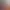 https://shared.akamai.steamstatic.com/store_item_assets/steam/apps/1554700/header.jpg?t=1725855149