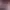 https://shared.akamai.steamstatic.com/store_item_assets/steam/apps/1555110/2db9779e0a603a33a767deed85368715893793ed/header.jpg?t=1745849290