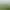 https://shared.akamai.steamstatic.com/store_item_assets/steam/apps/1555500/header.jpg?t=1656910001