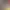 https://shared.akamai.steamstatic.com/store_item_assets/steam/apps/1555590/header.jpg?t=1749528685