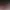 https://shared.akamai.steamstatic.com/store_item_assets/steam/apps/1556960/header.jpg?t=1734003456