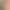 https://shared.akamai.steamstatic.com/store_item_assets/steam/apps/1558020/header.jpg?t=1738568470