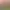 https://shared.akamai.steamstatic.com/store_item_assets/steam/apps/1559100/header.jpg?t=1727895165