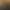 https://shared.akamai.steamstatic.com/store_item_assets/steam/apps/1561020/header.jpg?t=1747318623
