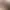 https://shared.akamai.steamstatic.com/store_item_assets/steam/apps/15620/header.jpg?t=1750948541